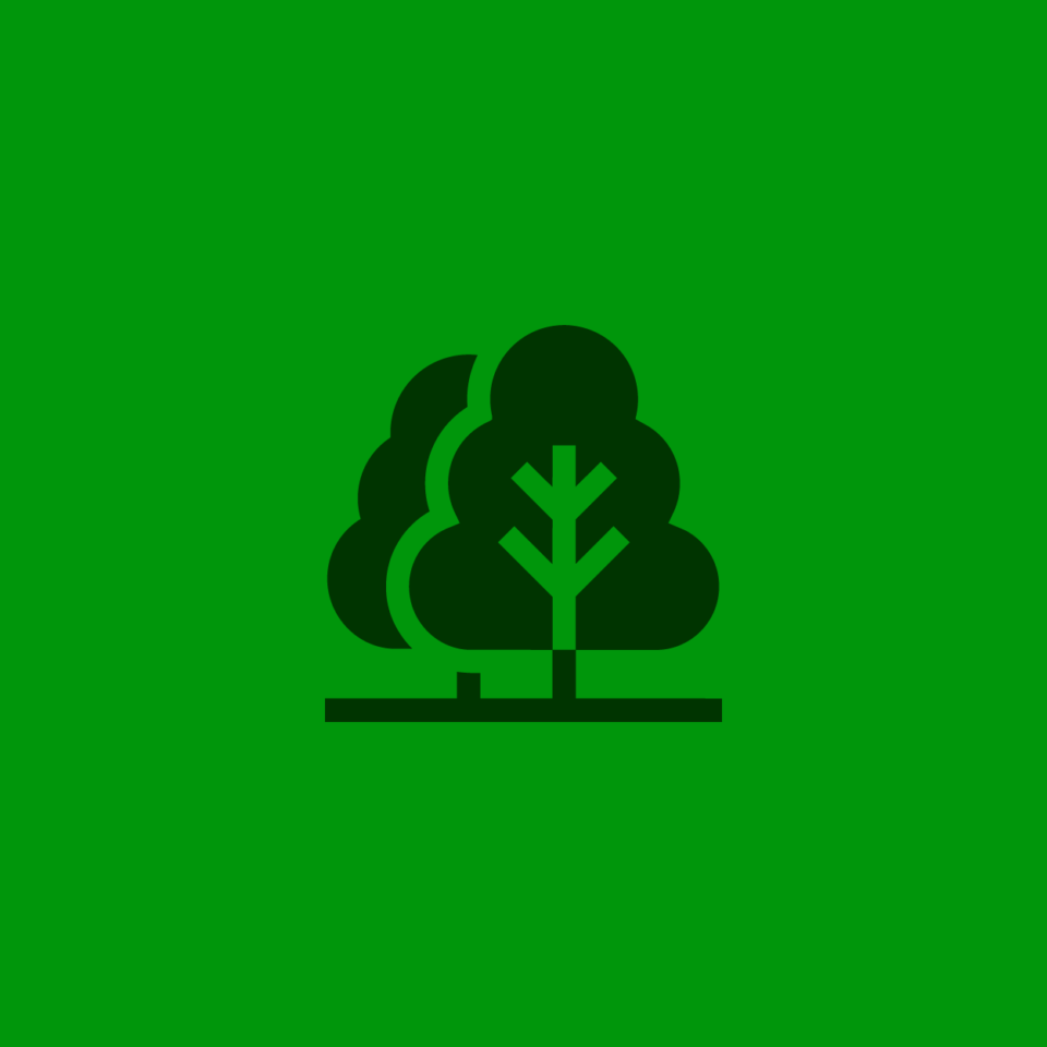 MARSELIN-PICTO-01
